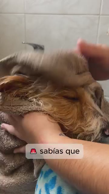 Secador de pelo de mascota 2 en 1 ¡ Envió Gratis!